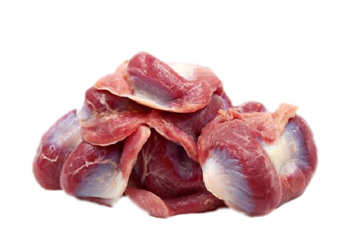 Gizzard