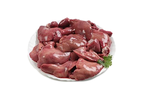 Liver