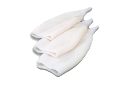 Squid Tube